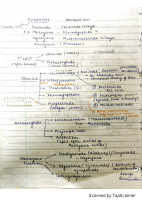 Prelims matter maps.pdf